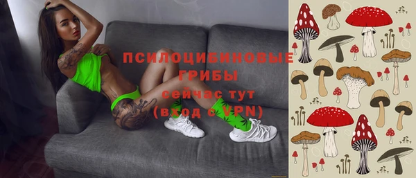 твердый Сафоново