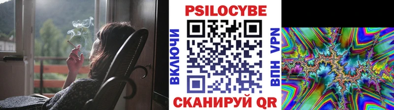 Галлюциногенные грибы Cubensis  что такое   Заполярный 