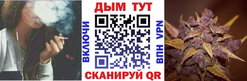 наркотики  Заполярный  Бошки Шишки конопля 